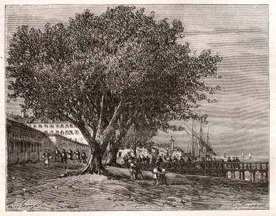 Evian-les-Bains (Evian les Bains) - Haute-Savoie - gravyr i "Frankrike illustrerad: geografi, historia, statistisk administration" av V.-A. Maltbrunt. 1884 av French School