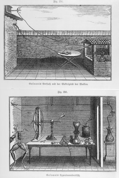 Experiment på grodor av Louis Galvani (1737-98) sent 1700-tal av French School