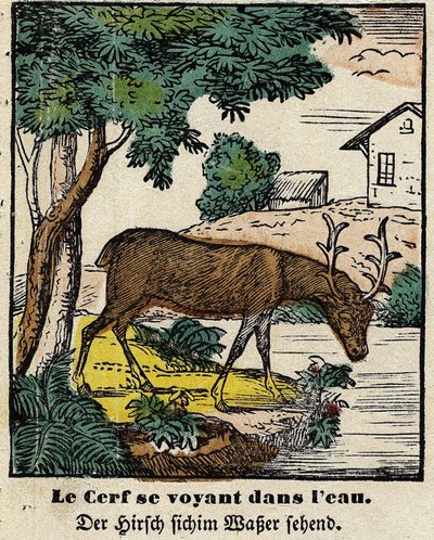 Fables de La Fontaine: rådjuren ser sig själva i vattnet. Bild av Epinal, första hälften av 1800-talet av French School