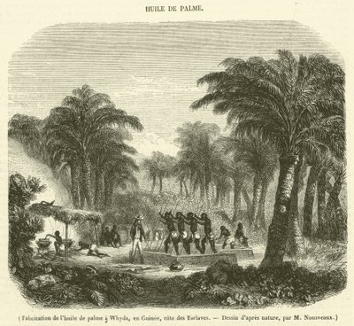 Tillverkning av palmolja i Whyda, Guinea, Slave Coast (gravyr) av French School