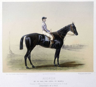 Berömd tävlingshäst - i "" The Centaur"" 1866 av French School