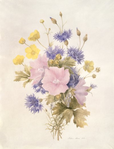 Fältblommor, 1842 (wc på papper) av French School