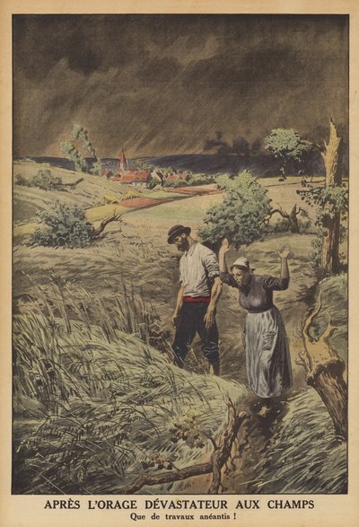 Fält ödelade av ett åskväder i Frankrike (färg litho) av French School