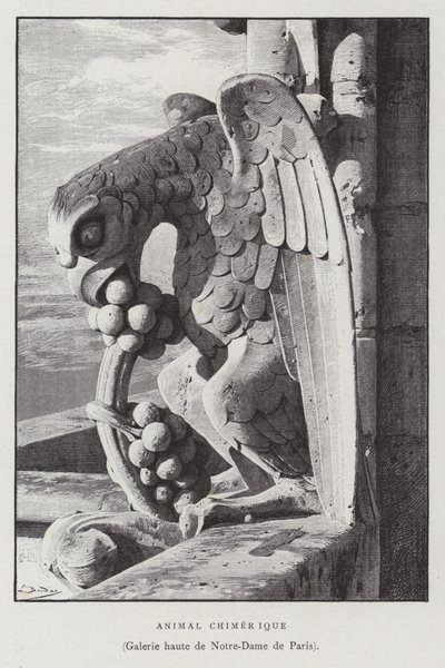 Figur av ett chimärt djur, från det övre galleriet i Notre Dame de Paris (litho) av French School