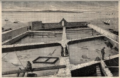 Fiskodling i Concarneau - Bretagne - Establishment de pisciculture - Concarneau - Finistere - Bretagne - gravyr i "" PATRIE" - PICTUREQUERESSE BESKRIVNING AV FRANKRIKE I 6 VOLYER AV LUCIEN HUARD - slutet av 1800-talet av French School