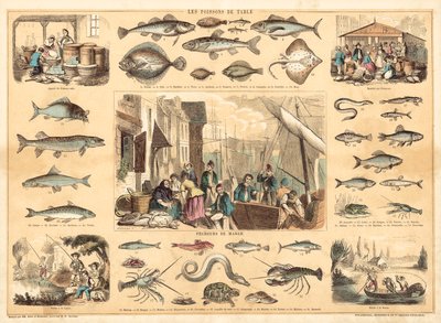 Fiskar (färg litho) av French School