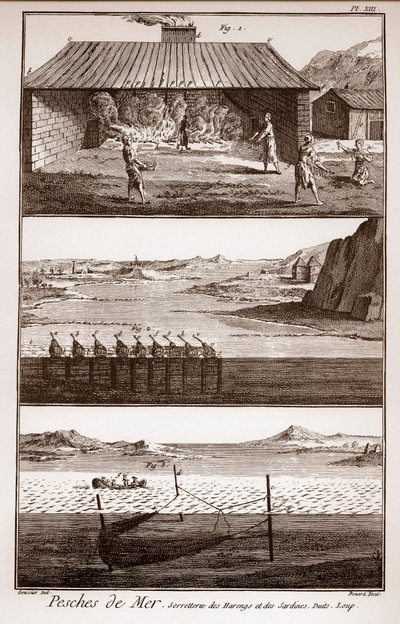 Fiske, sill och sardiner - Peches de Mer - Sorretterie des herring et des sardines - "" La Grande Encyclopédie, ou Dictionnaire Raisonne des Sciences, des Arts et des Metiers"" (Encyclopedia or Dictionary of the Sciences, Arts and Professions) av Deni av French School