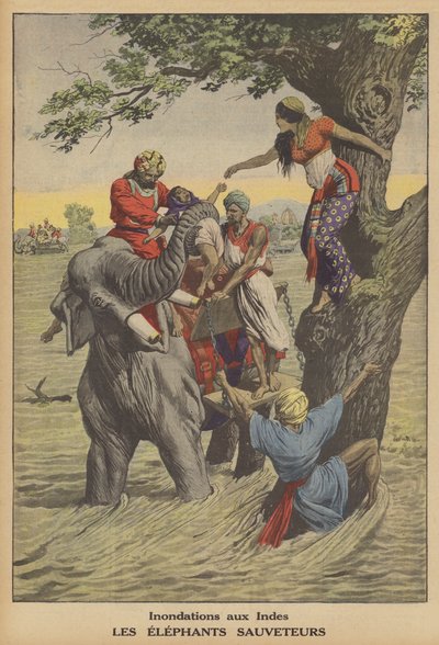 Översvämningar i Indien (färg litho) av French School