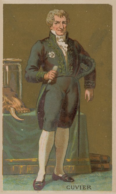 Georges Cuvier, fransk naturforskare och zoolog (1769-1832) av French School