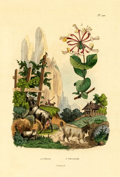 Getter, 1833-39 av French School