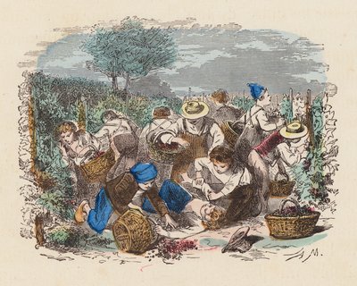 Druvplockning i en vingård (färgad gravyr) av French School