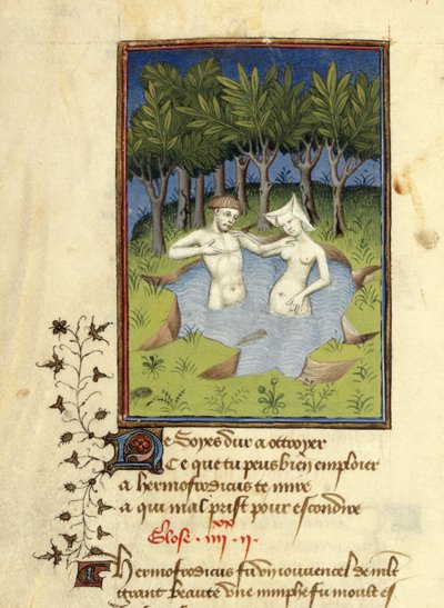 Harley MS 4431, f.132v, Miniatyr av Hermaphroditus och nymfen Salmacis som badar i en sjö, från 