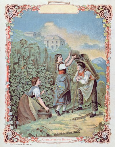 Skörda druvor, från en kalender, c.1880 av French School