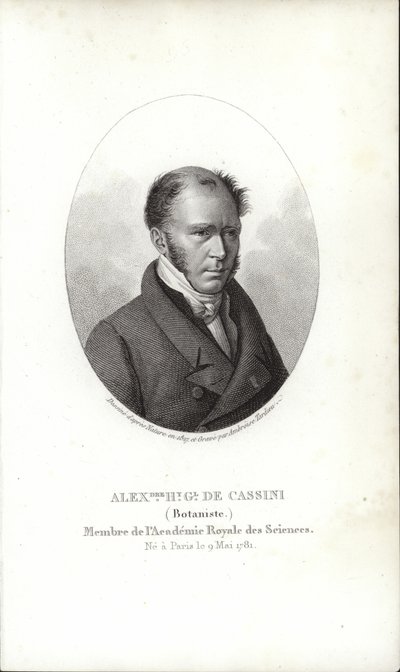 Henry Cassini av French School