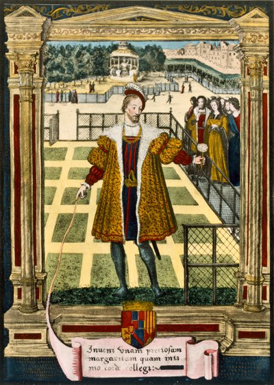 Henry dAlbret (1503-55), kung av Navarra som överlämnade en margueritblomma till Marguerite, syster till kung Francois I som han gifte sig med 1527 av French School