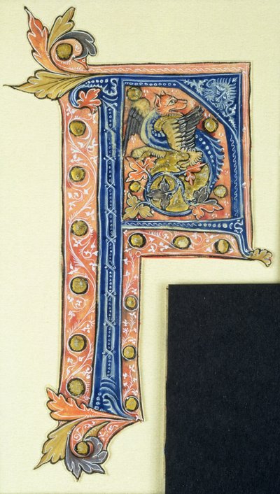 Historikert initial P som visar en bevingad griffin av French School