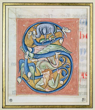 Historikert initial "S" som föreställer en akrobat och fantastiska djur, från Bibeln från Saint-Andre aux-Bois (vellum) av French School