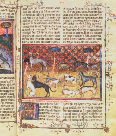 Jakthundar av Gaston III, greve av Foix Phebus jägaren (1331-91), från Livre de la Chasse, 1387-89 (gouache på pergament) av French School