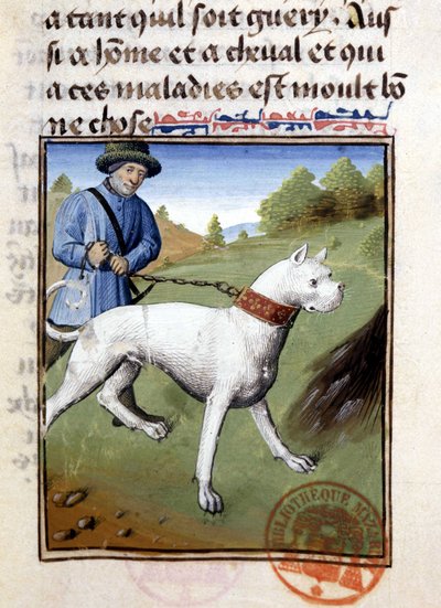 Jakthund hållen i koppel - i "" Jaktbok av Gaston Phoebus, greve av Foix, Lord of Béarn"" av French School