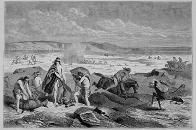 Jaga guanaco (vild lama) och nandou (eller patagonisk struts) i Argentina - i "" Tour du Monde"", 2:a veckan 1861 av French School