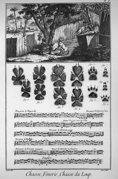 Jaga vargen (olika sätt eller fällor att ta vargarna på) - "" The Great Encyclopedie, ou Dictionnaire Raisonne des Sciences, des Arts et des Metiers"" (Encyclopedia or Dictionary of the Sciences, Arts and Professions) av Denis Diderot (1713) -1784) och av French School