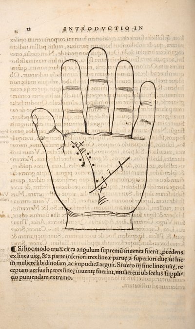 Illustration från Chiromantia av Joannes Indagioe, Strasbourg, 1531 (tryck & gravyr) av French School