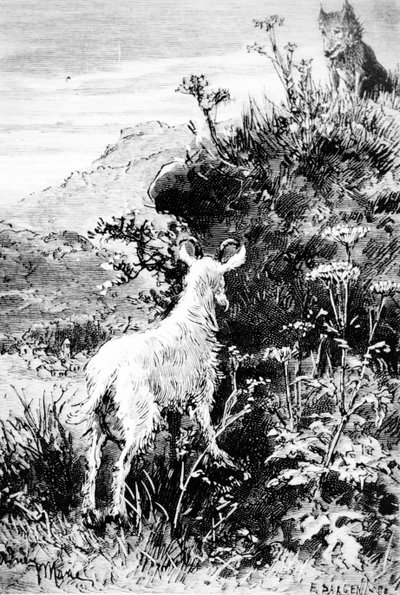 Illustration från Mr Seguins Goat av Alphonse Daudet av French School