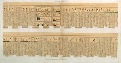 Illustrationer av ett Pampus-manuskript med hieroglyfer, Hypogees, Thebe, plåt 75 från Vol II av `Descriptions of Egypt`, graverad av Willemin, pub. 1822 (akvatint) av French School