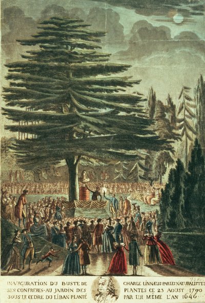 Invigning av bysten av Carl Linnaeus (1707-78) i Jardin des Plantes, under Libanons ceder som han planterade 1646, 23 augusti 1790 av French School