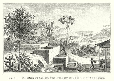 Indigoterie i Senegal, efter en gravyr av Seb, Leclerc, 1600-talet (gravyr) av French School
