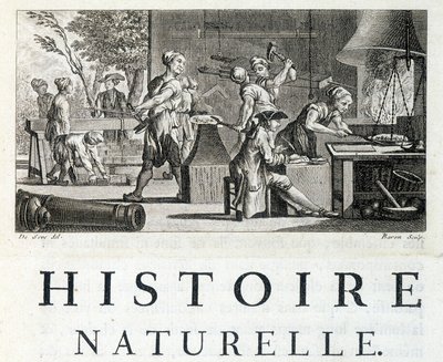 Interiör i en smedja - i "" Naturhistoria, allmänt och särskilt"" av Buffon av French School