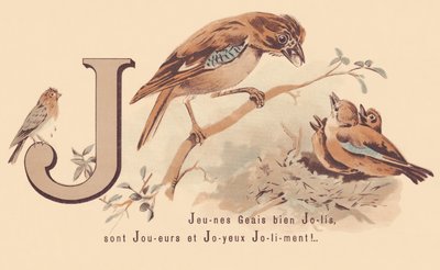 J: Young Jays Pretty är spelare och glad Jolily! av French School