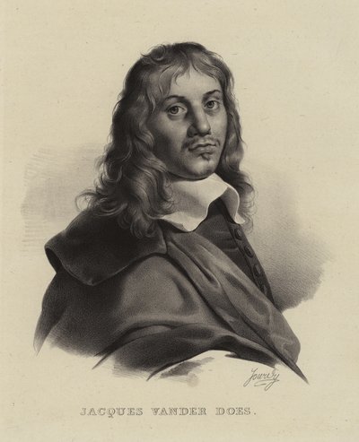 Jacob van der Does, holländsk konstnär av French School