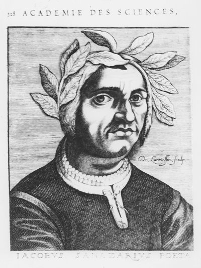 Jacopo Sannazaro (gravyr) av French School