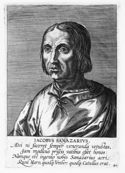 Jacopo Sannazaro (gravyr) av French School