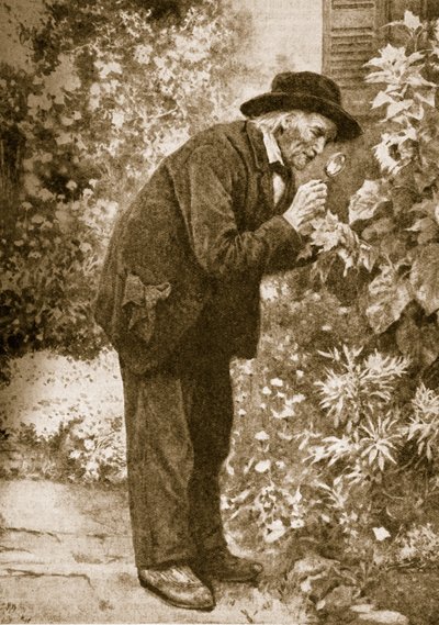 Jean-Henri Fabre observerar insekter av French School