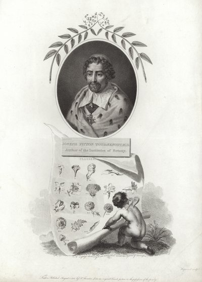 Joseph Pitton de Tournefort av French School