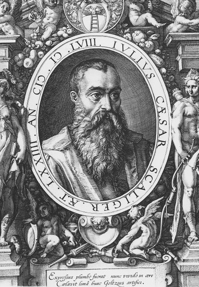 Julius Caesar Scaliger (gravyr) av French School