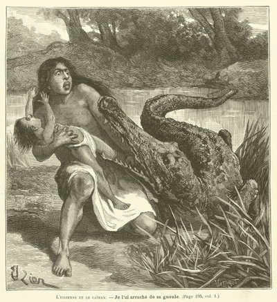Indianen och kajmanen (gravyr) av French School