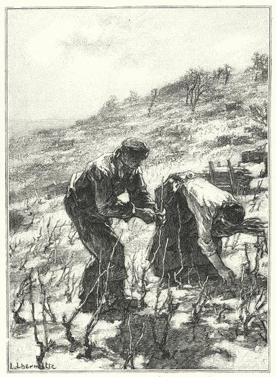 Pruning The Vines (gravyr) av French School