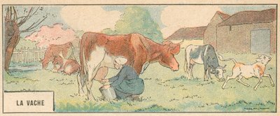 The Cow (färg litho) av French School