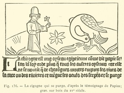Storken rensar sig själv (gravyr) av French School