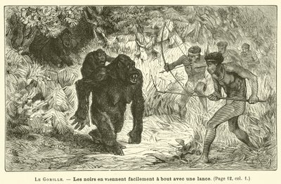 Gorillan (gravyr) av French School