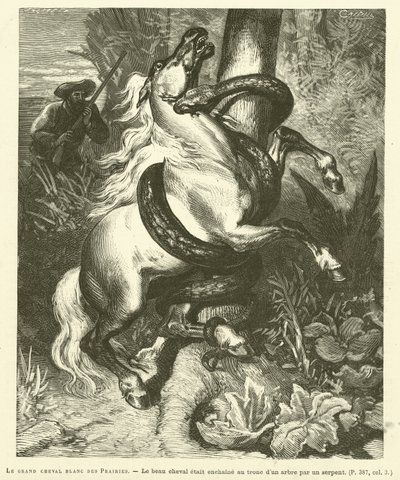 The Great White Horse Of The Prairies (gravyr) av French School