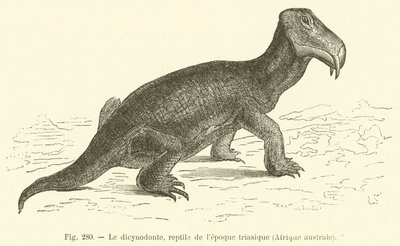 Dicynodonten, reptil från triasperioden, södra Afrika (gravyr) av French School