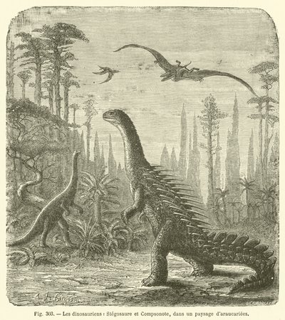 Dinosaurierna, Stegosaurus och Compsonote, i ett landskap av Araucariae (gravyr) av French School