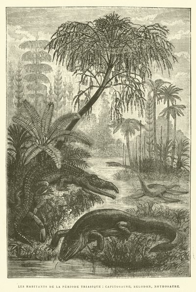 Invånarna i triasperioden, capitosaurus, belodon, nothosaurus (gravyr) av French School