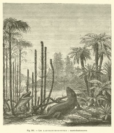 Les labyrinthodontes, mastodontosaures (gravyr) av French School