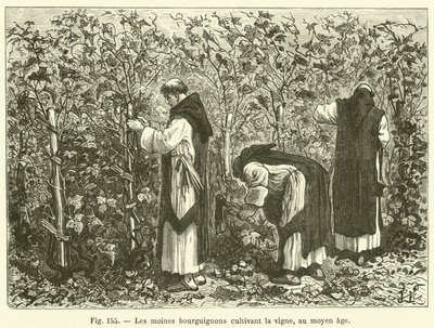 Burgundiska munkar som odlar vinstockar, under medeltiden (gravyr) av French School