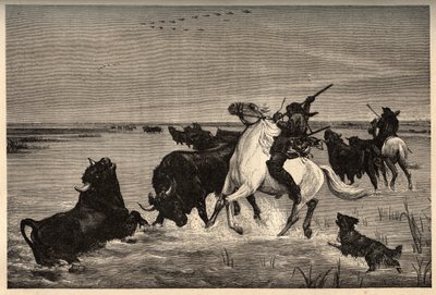 Camargues oxar (nötkreatur) efter målningen av vayson- gravyr i "" PATRIE" - gravering i "" PATILE"" - BESKRIVNING PINTUREQUIRESSE DE LA FRANCE I 6 VOLURES AV LUCIEN HUARD - slutet av 1800-talet av French School